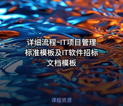 详细流程~IT项目管理标准模板及IT软件招标文档模板
