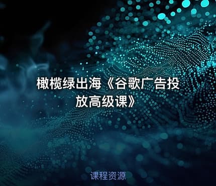 橄榄绿出海《谷歌广告投放高级课》
