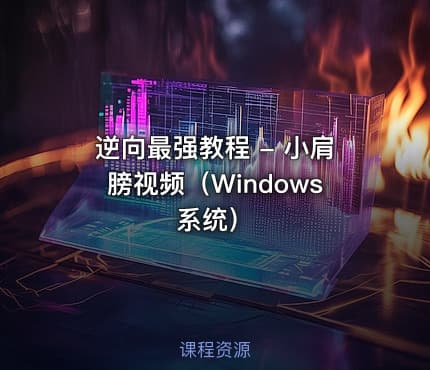 逆向最强教程 - 小肩膀视频（Windows系统）