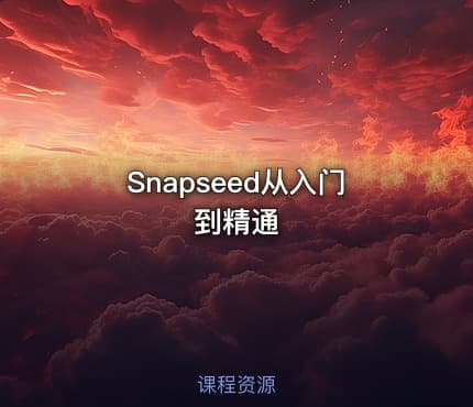 Snapseed从入门到精通