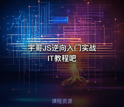 宇哥JS逆向入门实战 IT教程吧