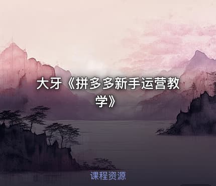 大牙《拼多多新手运营教学》