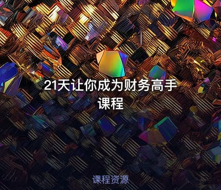 21天让你成为财务高手课程