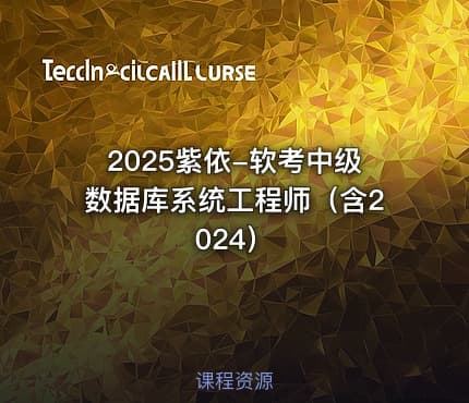2025紫依-软考中级数据库系统工程师（含2024）