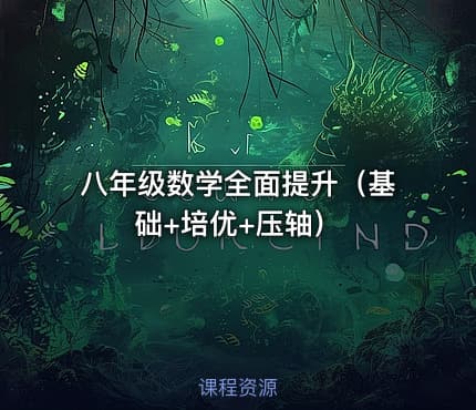 八年级数学全面提升（基础+培优+压轴）