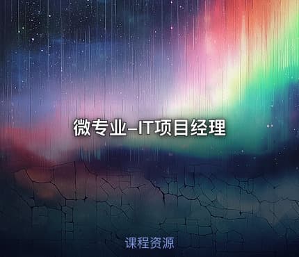 微专业-IT项目经理