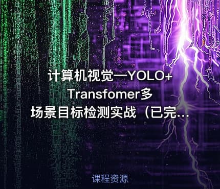 计算机视觉—YOLO+Transfomer多场景目标检测实战（已完结）