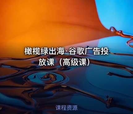 橄榄绿出海·谷歌广告投放课（高级课）