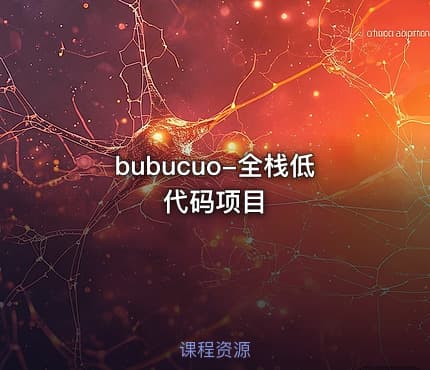 bubucuo-全栈低代码项目