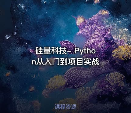 硅量科技- Python从入门到项目实战