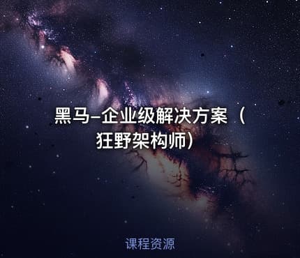 黑马-企业级解决方案（狂野架构师）