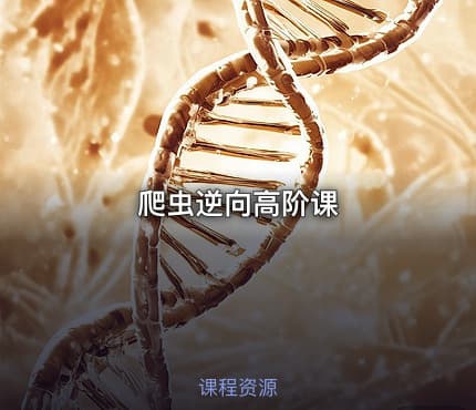 爬虫逆向高阶课