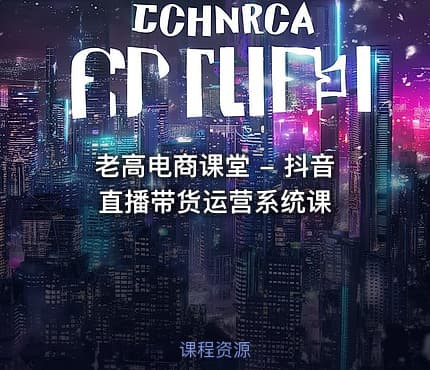 老高电商课堂 - 抖音直播带货运营系统课