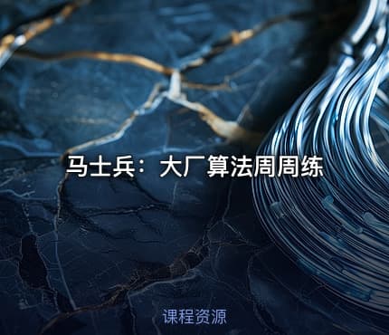 马士兵：大厂算法周周练