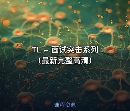 TL - 面试突击系列（最新完整高清）