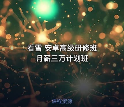 看雪 安卓高级研修班 月薪三万计划班