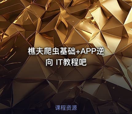 樵夫爬虫基础+APP逆向 IT教程吧