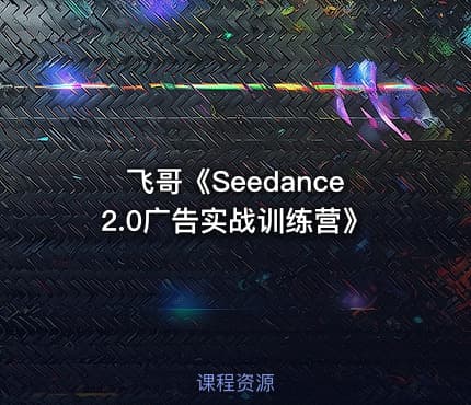 飞哥《Seedance2.0广告实战训练营》