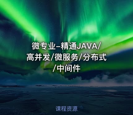 微专业-精通JAVA/高并发/微服务/分布式/中间件