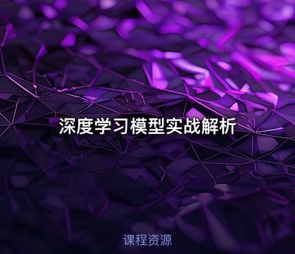 深度学习模型实战解析