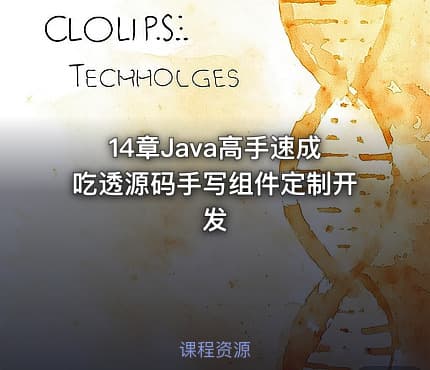 14章Java高手速成吃透源码手写组件定制开发