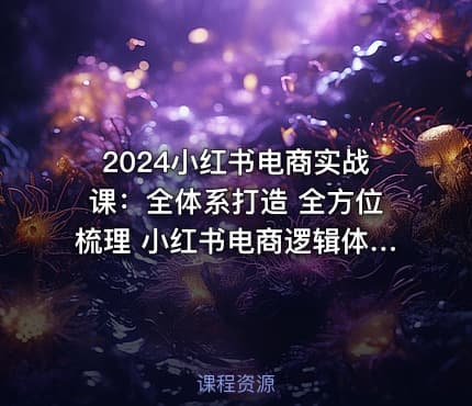 2024小红书电商实战课：全体系打造 全方位梳理 小红书电商逻辑体系 (42节)