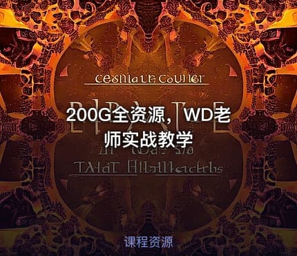200G全资源，WD老师实战教学