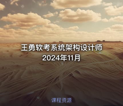 王勇软考系统架构设计师2024年11月