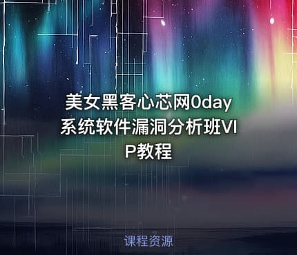 美女黑客心芯网0day系统软件漏洞分析班VIP教程