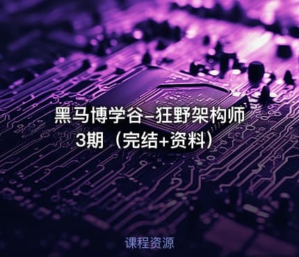 黑马博学谷-狂野架构师3期（完结+资料）