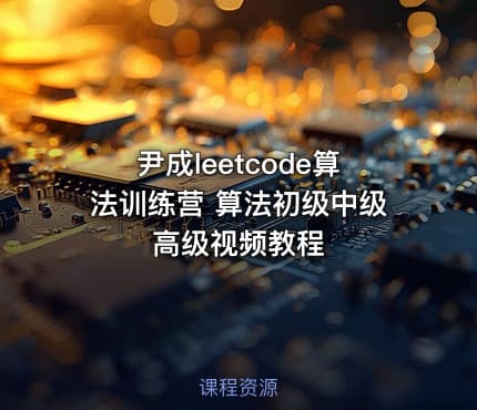 尹成leetcode算法训练营 算法初级中级高级视频教程