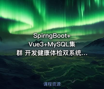 SpirngBoot+Vue3+MySQL集群 开发健康体检双系统（高清完结无密）