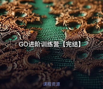 GO进阶训练营【完结】