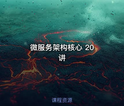 微服务架构核心 20 讲