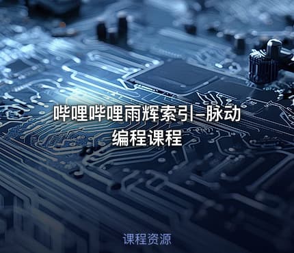 哔哩哔哩雨辉索引-脉动编程课程