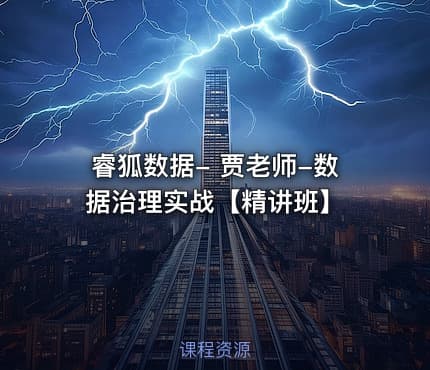 睿狐数据- 贾老师-数据治理实战【精讲班】