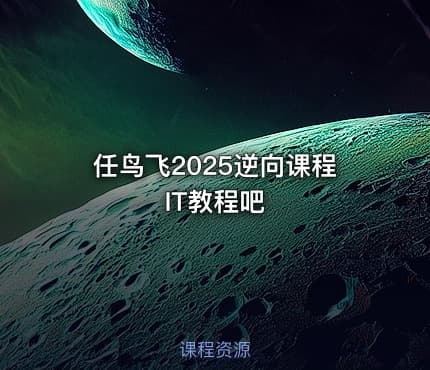 任鸟飞2025逆向课程 IT教程吧