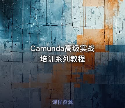 Camunda高级实战培训系列教程