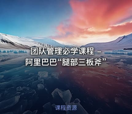 团队管理必学课程 - 阿里巴巴“腿部三板斧”