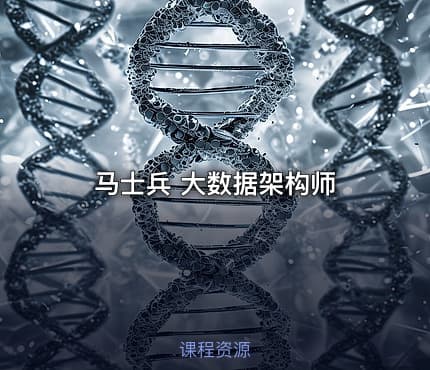 马士兵 大数据架构师