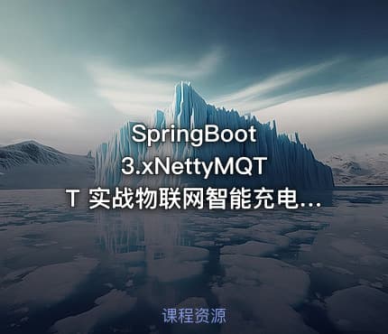 SpringBoot 3.xNettyMQTT 实战物联网智能充电桩11章