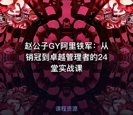 赵公子GY阿里铁军：从销冠到卓越管理者的24堂实战课