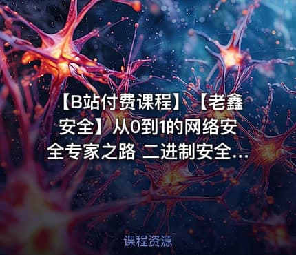 【B站付费课程】【老鑫安全】从0到1的网络安全专家之路 二进制安全和Web安全