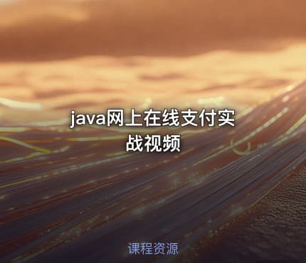 java网上在线支付实战视频