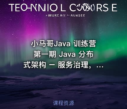 小马哥Java 训练营第一期 Java 分布式架构 – 服务治理，价值2999