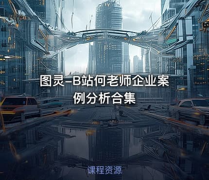 图灵-B站何老师企业案例分析合集