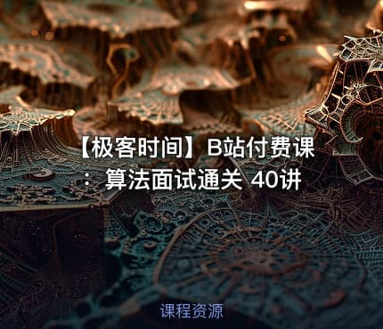 【极客时间】B站付费课：算法面试通关 40讲