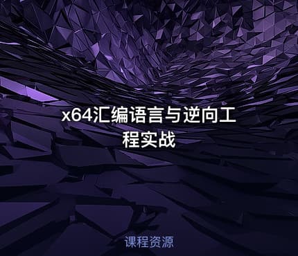 x64汇编语言与逆向工程实战