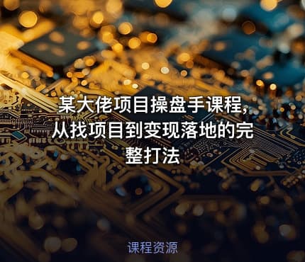 某大佬项目操盘手课程,从找项目到变现落地的完整打法