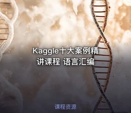 Kaggle十大案例精讲课程 语言汇编